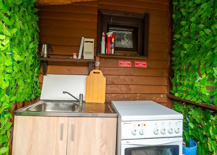 Z Widokiem Na Jezioro *